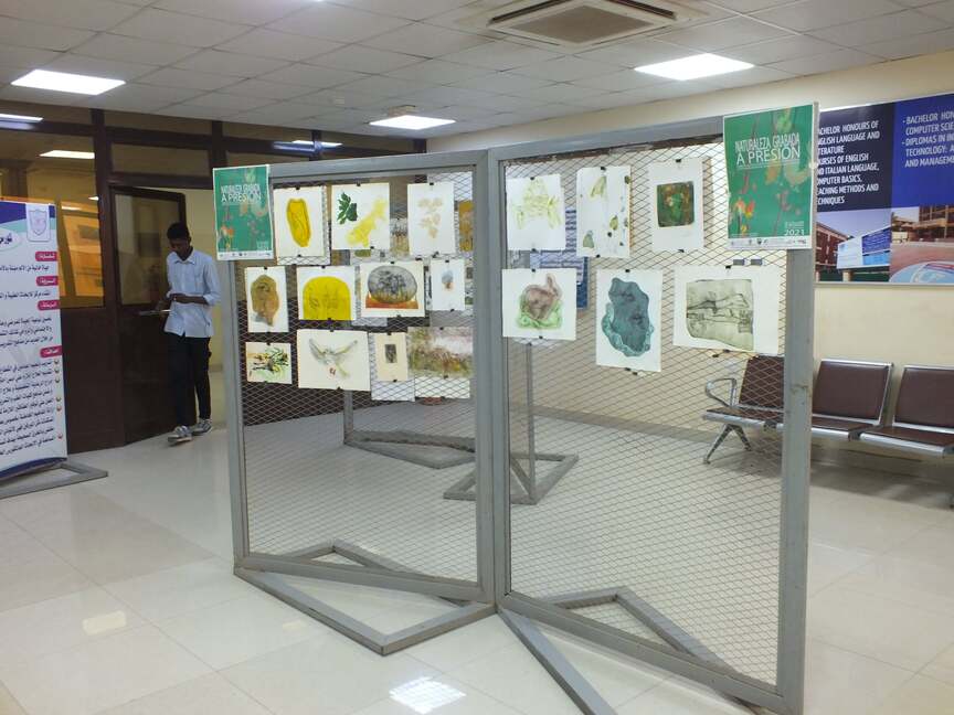 Art Exhibition at CCST
